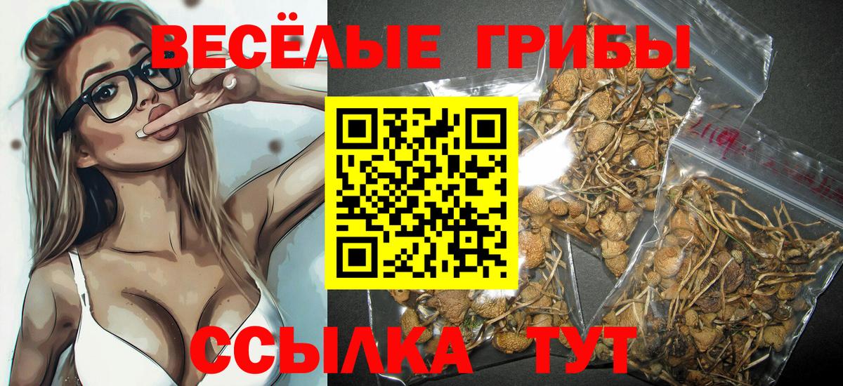 Советская Гавань  Галлюциногенные грибы мицелий  Вход с VPN  Псилоцибиновые грибы Psilocybine cubensis 